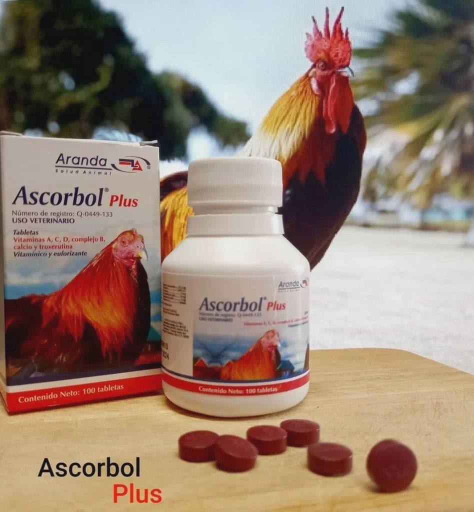 Ascorbol Plus, Size: Each Pill