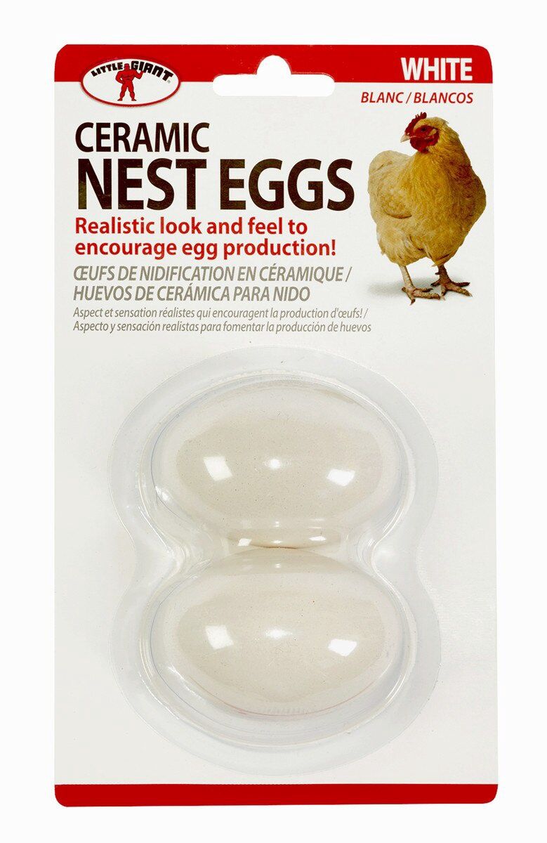 Nest Eggs Ceramic - White 2pk