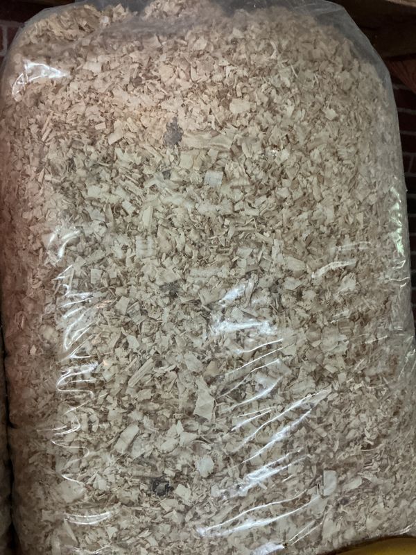 Pine Shaving Clear Bag