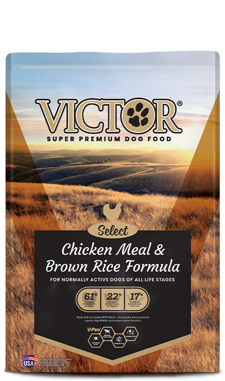 Victor Select Chicken Meal &amp; Brown Rice Formula, Size: 5 LB