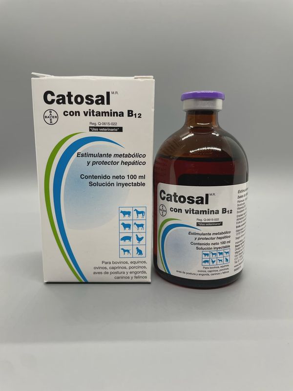 Catosal con vitamina B12