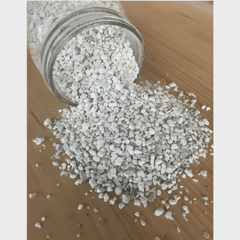 Oyster Shells