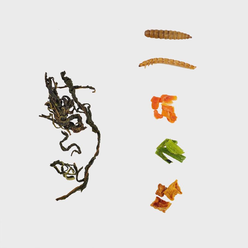 LuckyQWorms Bug'n' Veggie Buffet - 1LB