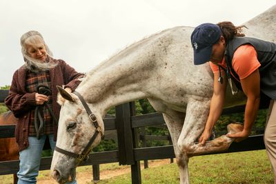 Horse, Livestock &amp; Poultry Pharmacy