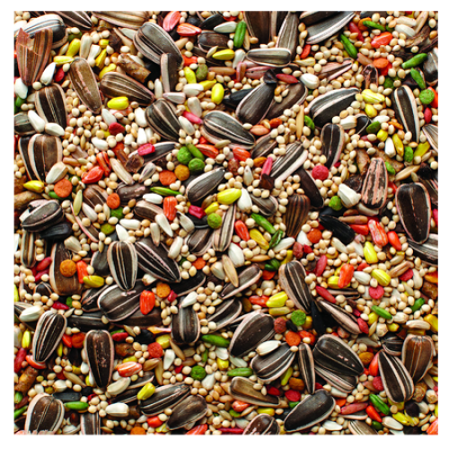Grains Plus Cockatiel Blend Bird Seed, Weight: 50 LB