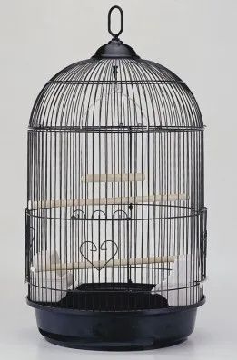 Cages 3201, Color: Black