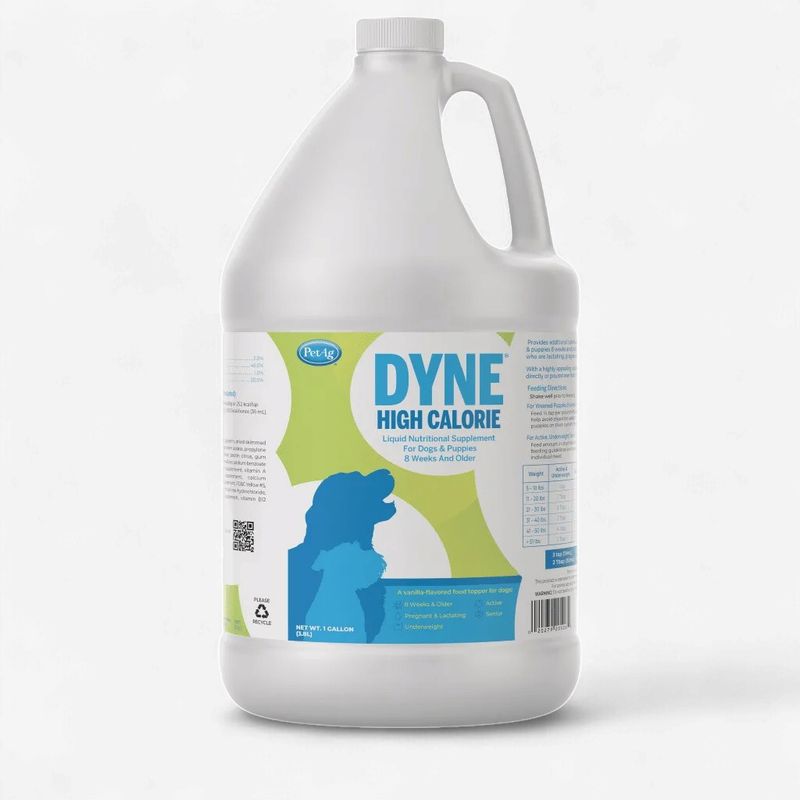 Dyne High Calorie Supplement