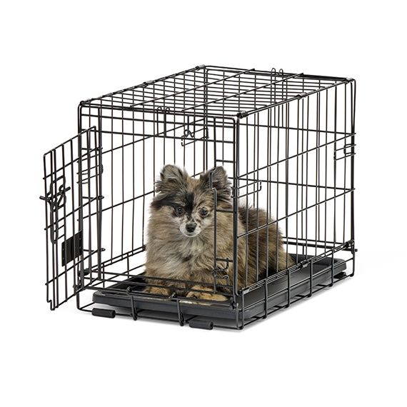 Contour Single Door Dog Crates, Size: Small (24")