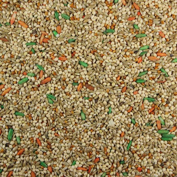 Grains Plus Parakeet Blend Bird Seed, Weight: 50 LB