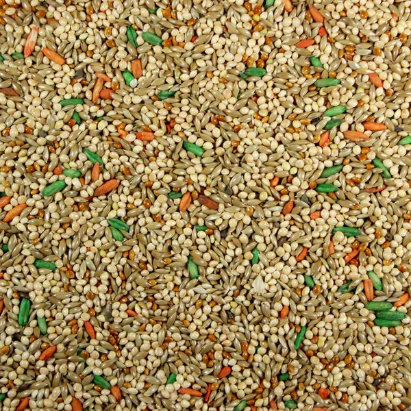 Grains Plus Parakeet Blend Bird Seed, Weight: 50 LB