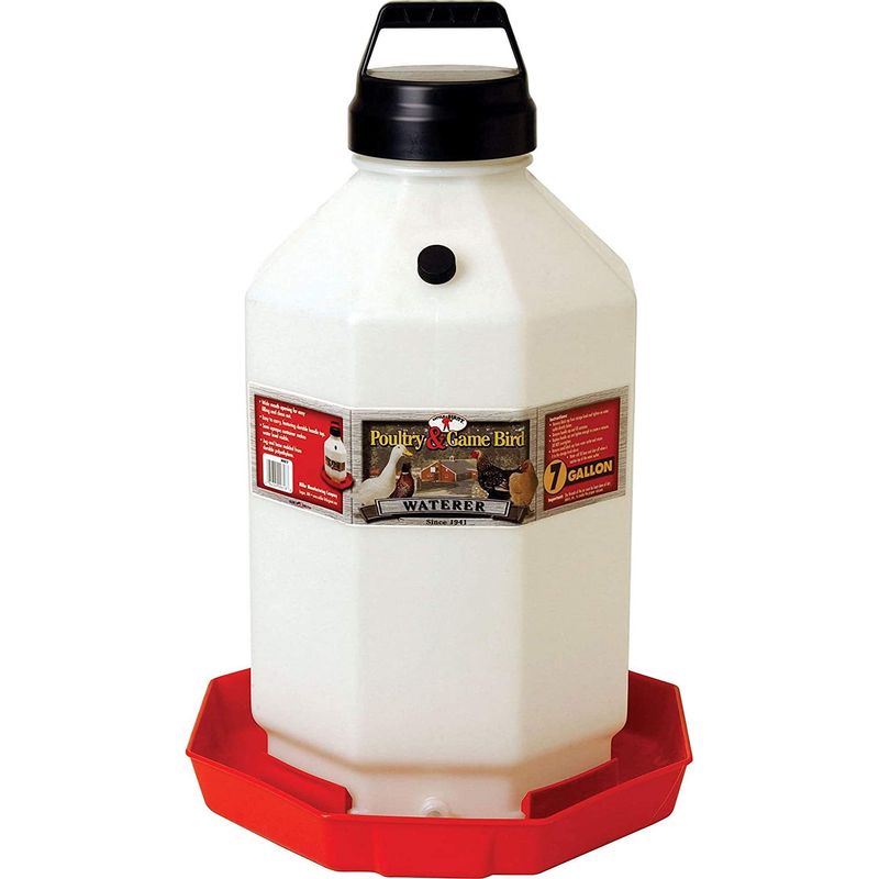 Poultry &amp; Game Bird Waterer 7 Gallon