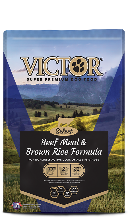 Victor Select Beef Meal &amp; Brown Rice Formula, Size: 5 LB