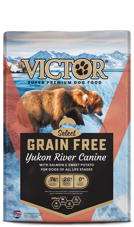 Victor Select Grain Free Yukon River Canine Salmon &amp; Sweet Potato, Size: 5 LB