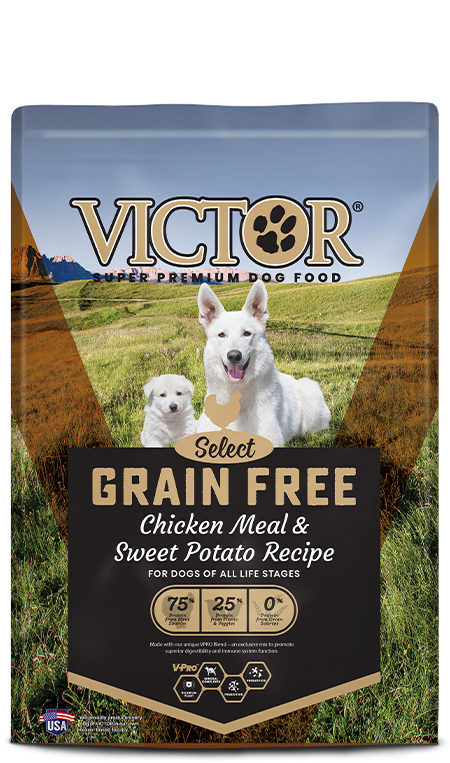 Victor Select Grain Free Chicken Meal &amp; Sweet Potato Recipe, Size: 5 LB
