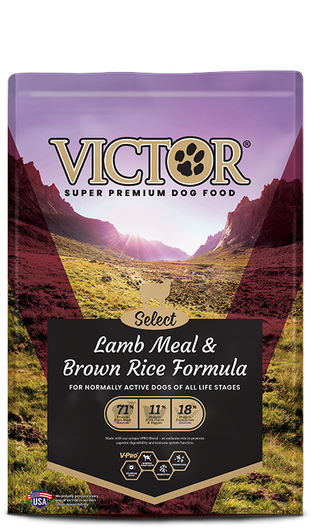 Victor Select Lamb Meal &amp; Sweet Potato Recipe, Size: 5 LB