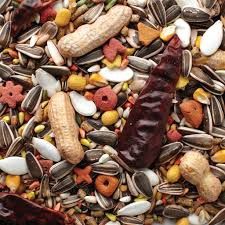 Grains Plus Parrot Blend, Weight: 20 LB