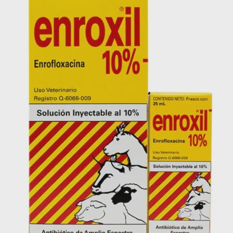 Enroxil, Size: 20 mL, Type: 5%