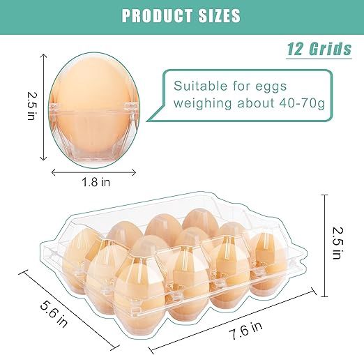 Clear Plastic Egg Cartons - Fits 12