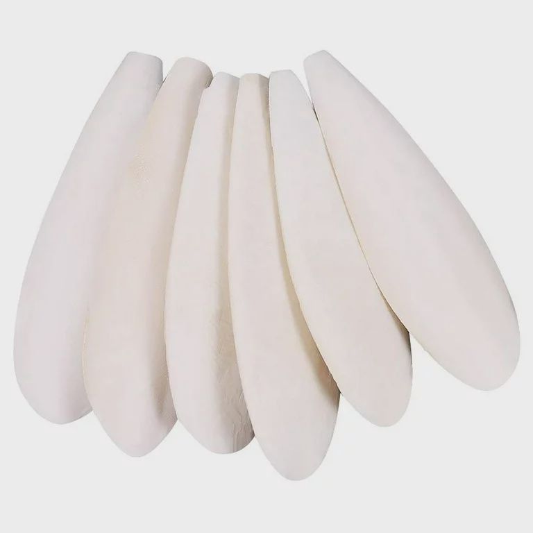 6-inch Cuttlebone, Type: Single