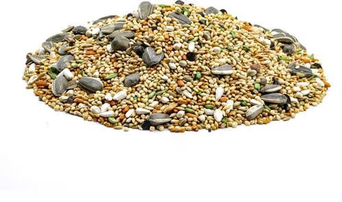 Royal Feeds Leach Cockatiel Plus - 50 LB