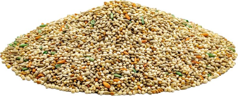 Royal Feeds Leach Parakeet Plus - 50 LB