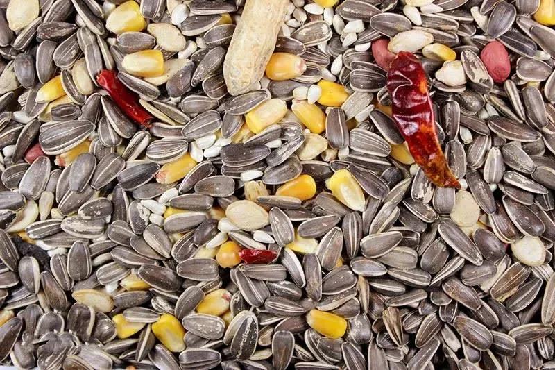 Kruse Perfection Brand Parrot Feed - 50 LB