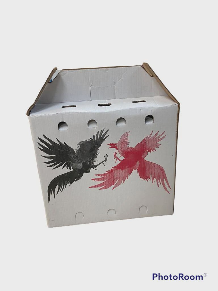 Cardboard Poultry Carrier (Mexico)