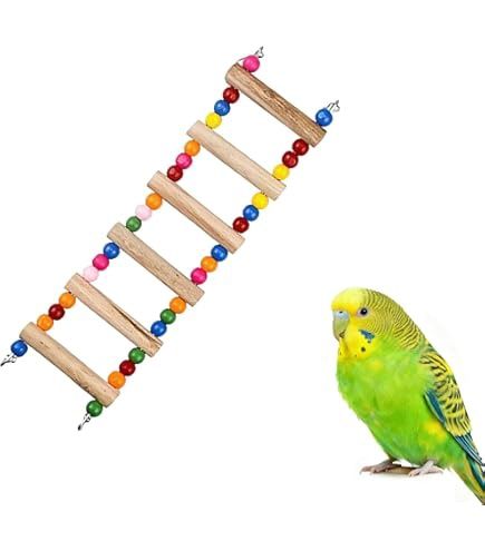 Fun Ladder for birds