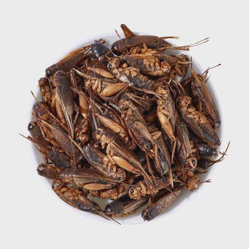 LuckyQworms Dried Crickets - 1LB