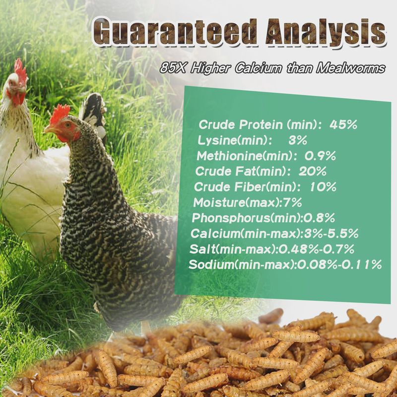 LuckyQworms Dried Black Soldier Fly Larvae - 5LB