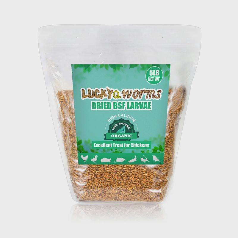 LuckyQworms Dried Black Soldier Fly Larvae - 5LB