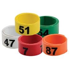 Bandette Legbands