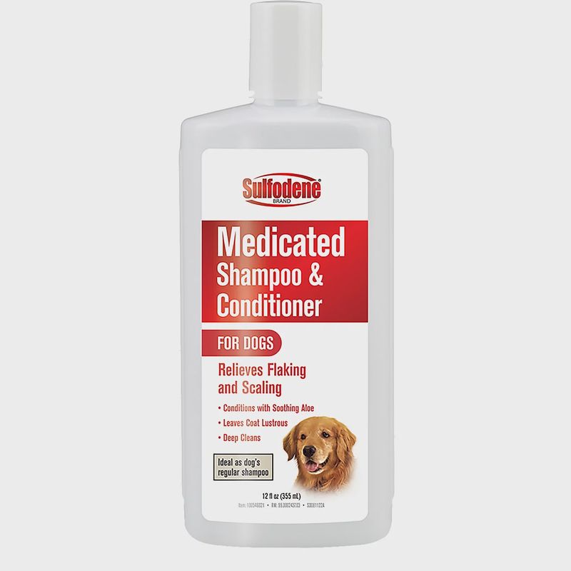 Sulfodene Medicated Shampoo and Conditioner - 12 oz