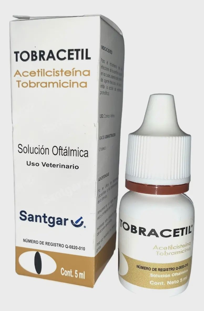 Tobracetil - 5 mL