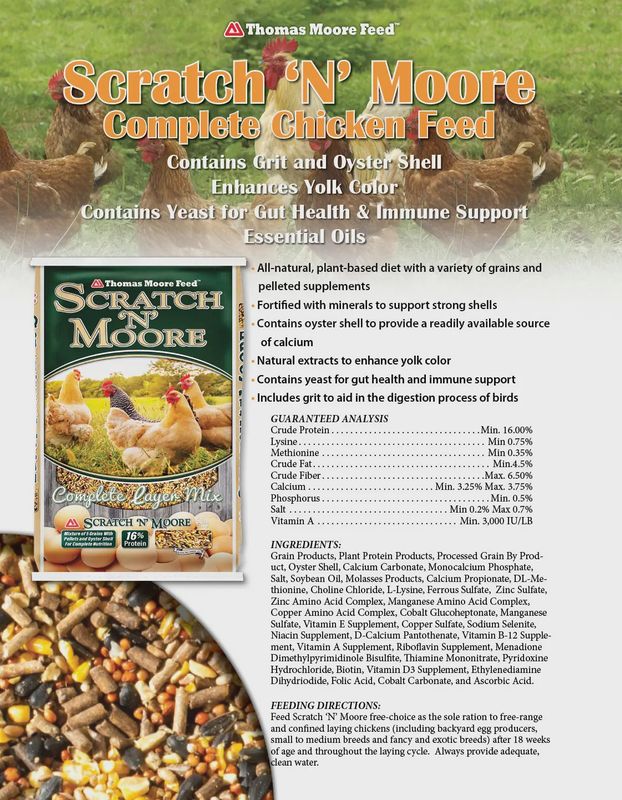 Thomas Moore 16% Scratch N’ Moore Complete Layer - 50 lb