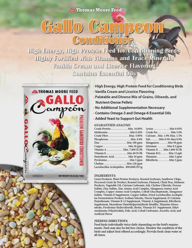 Thomas Moore Gallo Campeon Conditioner