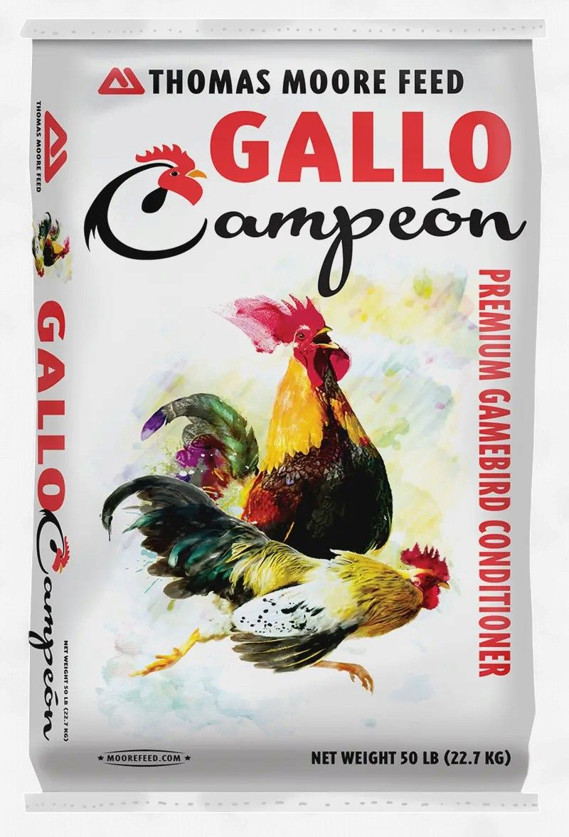 Thomas Moore Gallo Campeon Conditioner