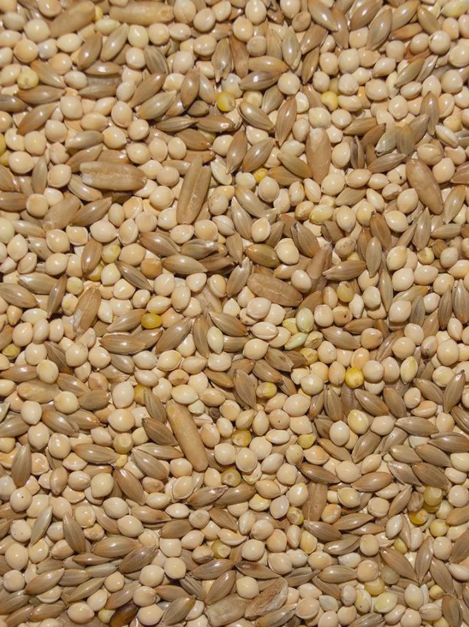 Brooks All Natural Parakeet Blend - 50 lb
