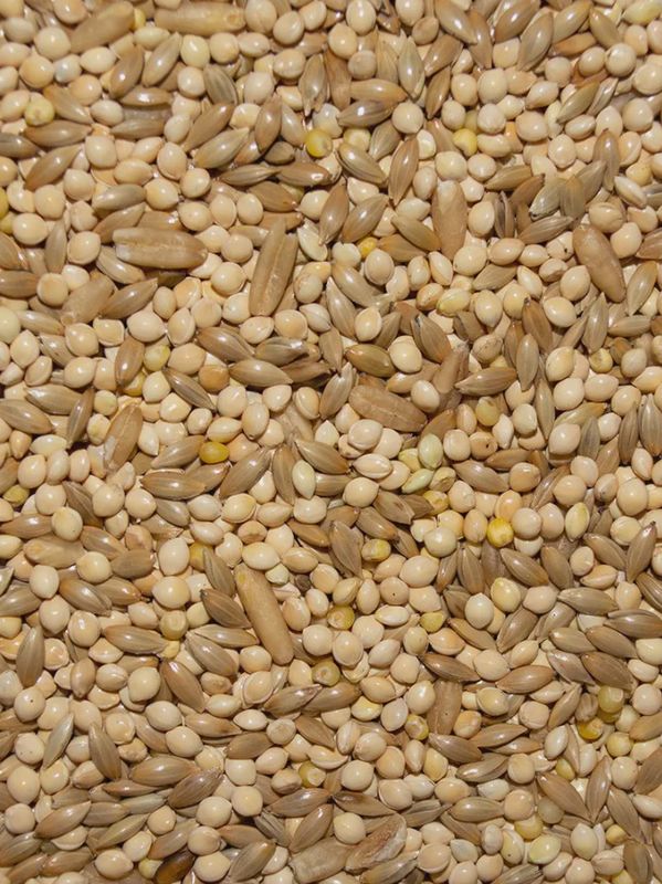 Brooks All Natural Parakeet Blend - 50 lb
