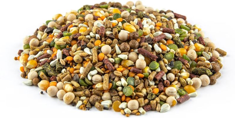 Don Roberto 22% La Cuida - 25 lb