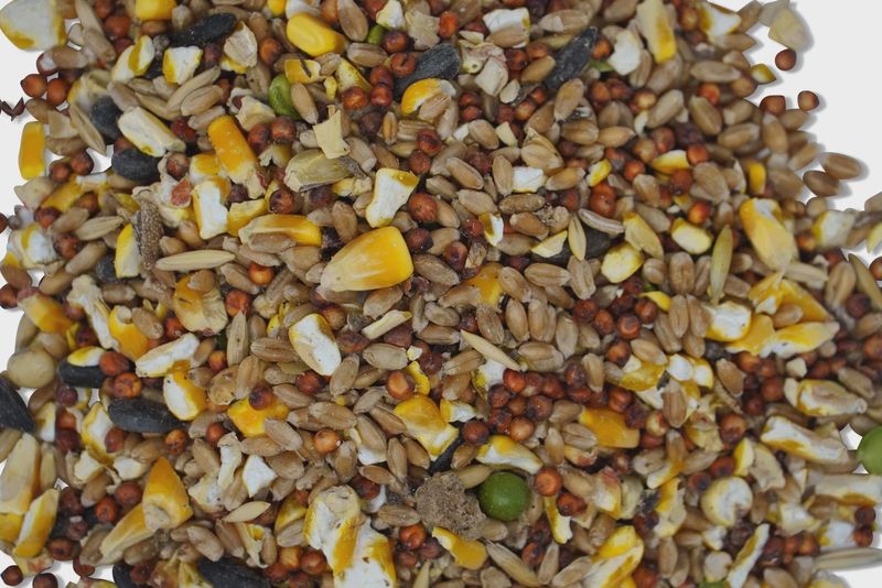 Three Roots Premium Hi Protein - 50 lb