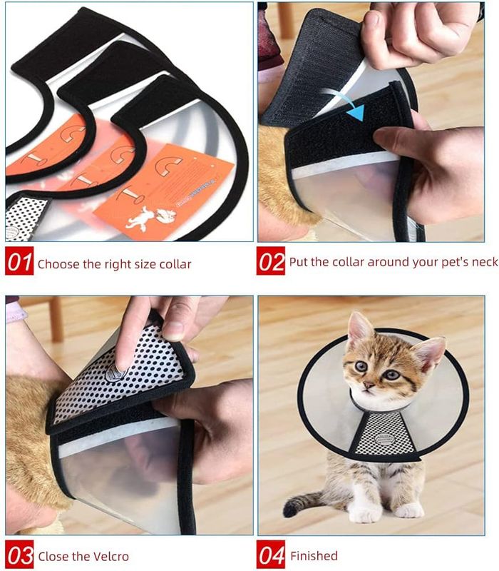 Soft Dog Cone Collar