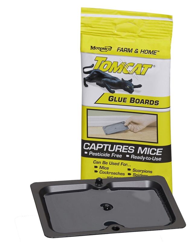 Tomcat Small Glue Boards - 2 Traps