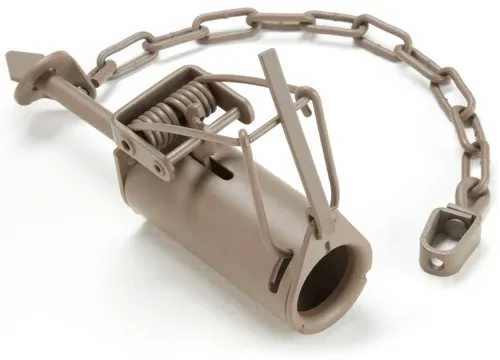 Racoon Trap DP