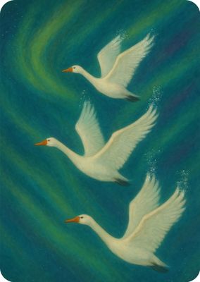 Swans dancing in the northern lights, enkele kaart met envelop