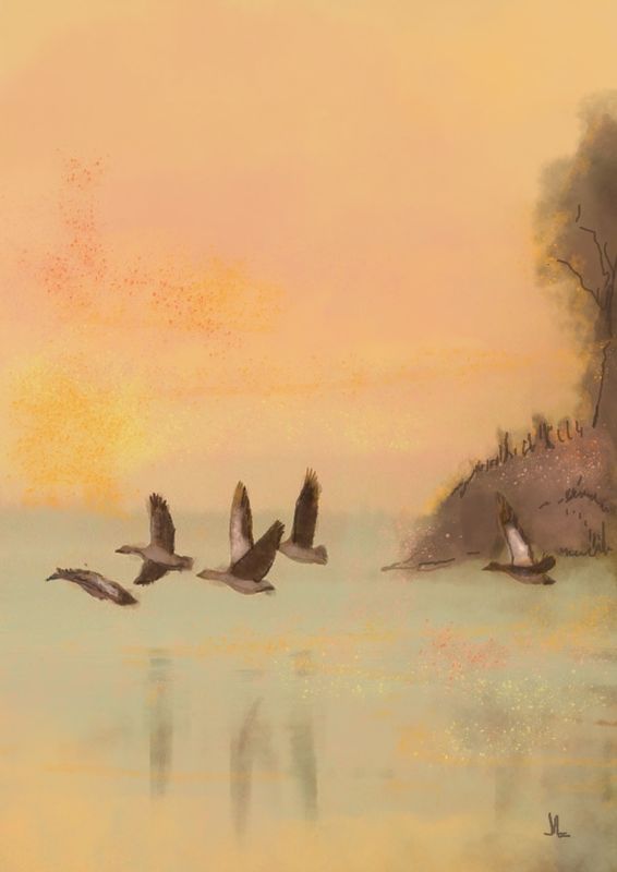 Ganzenvlucht, dubbele kaart met envelop