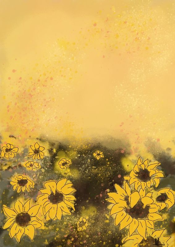 Zonnebloemenveld, dubbele kaart met envelop