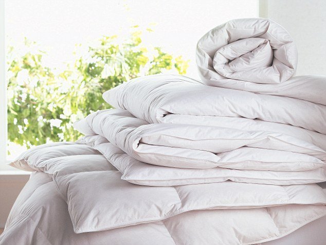 Duvets/Blankets/Throw overs/Sleeping Bags         Any Two Any Size  £20.00
