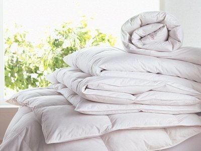 Duvets/Blankets/Throw overs/Sleeping Bags Any Two Any Size £20.00