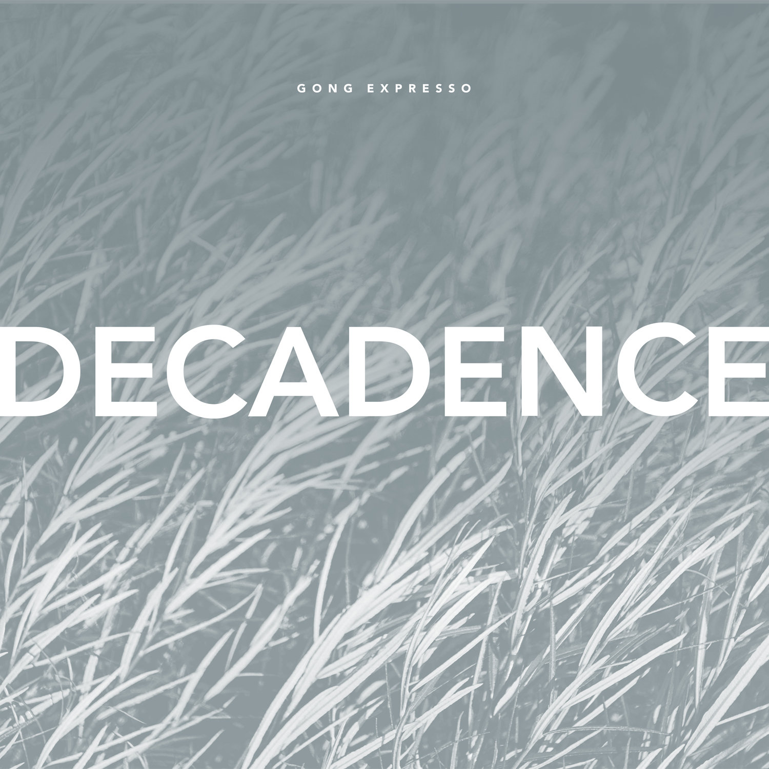 Vinyl + Digital Package